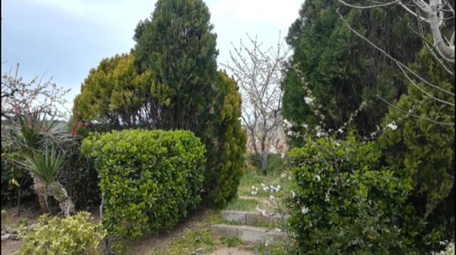 Sa Chiriasa Monti Exterior foto